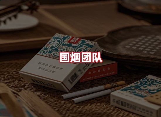 国烟团队
